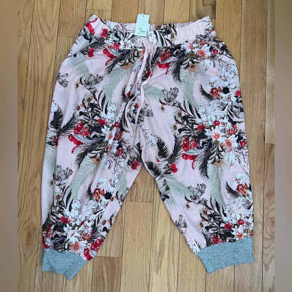 NWT Lane Bryant/Cacique Shorts Size 14/16